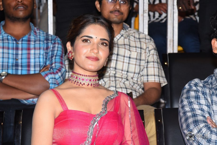 Hit-Movie-Pre-Release-Event-Vizag